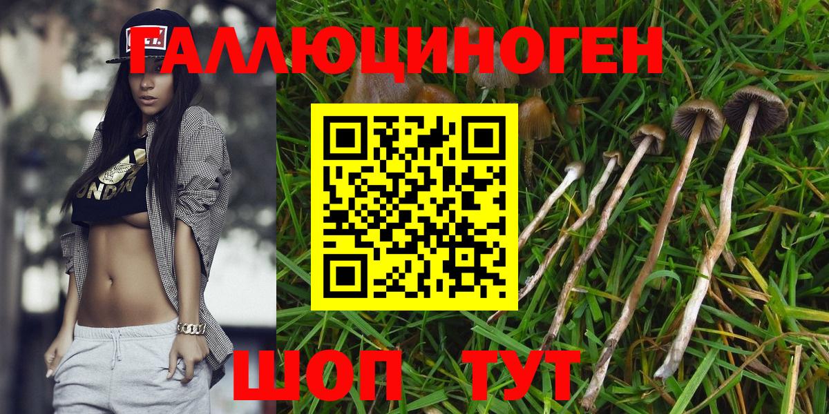 Псилоцибиновые грибы прущие грибы  Псилоцибиновые грибы мицелий  Вход с VPN  Каменск-Уральский 